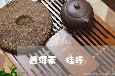 普洱茶 挂杯/2023042738145